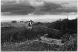 Ruapekapeka 1970 by Marti Friedlander contemporary artwork photography