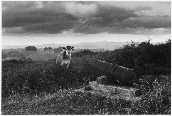 Ruapekapeka 1970 by Marti Friedlander contemporary artwork Photography