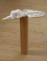 Disappearing Bodies of Water Lake Chad by Maya Lin contemporary artwork sculpture