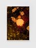 Glowing Orb on 91st and Shore Front Parkway by Roe Ethridge contemporary artwork Print