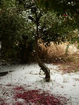 Untitled from the series Faraway so close by Heeseung Chung contemporary artwork print