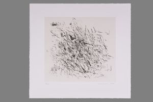 Julie Mehretu