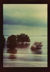 Repeating Chasms 1 by Simryn Gill contemporary artwork print