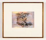 Beetle Umwelt IV by John Wolseley contemporary artwork print