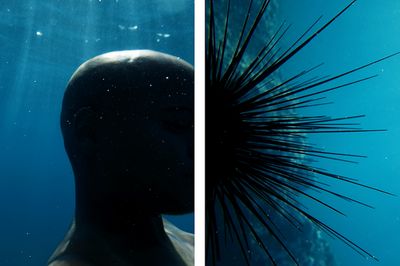 Fragments of Epic Memory Centres the Caribbean and Its Diaspora