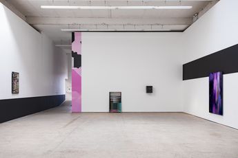 Contemporary art exhibition Gregor Wright GRAYSCALE ACID at The Modern Institute Airds Lane United Kingdom