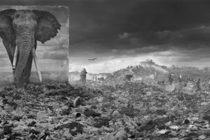 Nick Brandt