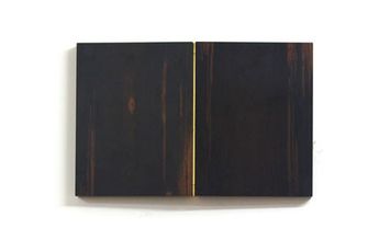 Artur Lescher contemporary artist