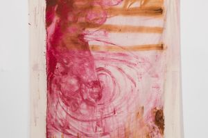 Vivian Suter