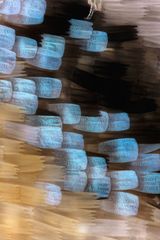 Lycaeides melissa Melissa Blue wing scales 2 by Fiona Pardington contemporary artwork print