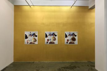 Contemporary art exhibition Elaine Stocki Hoar Frost at Thomas Erben Gallery New York United States