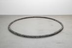 Trieb-Hippocampus II by Toshikatsu Endo contemporary artwork Sculpture