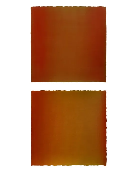 Diptych Untitled - Apples by Nick Terry contemporary artwork Painting