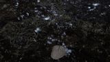 Grampa by Cao Guimaraes contemporary artwork moving image