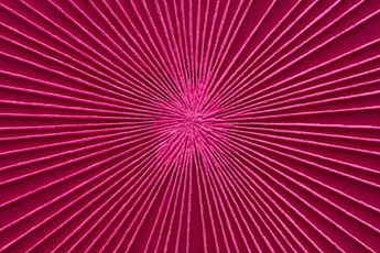 Contemporary art exhibition Group Exhibition Blinded By The Light  Comporta 2025 at Fortes DAloia  Gabriel Sao Paulo Brazil