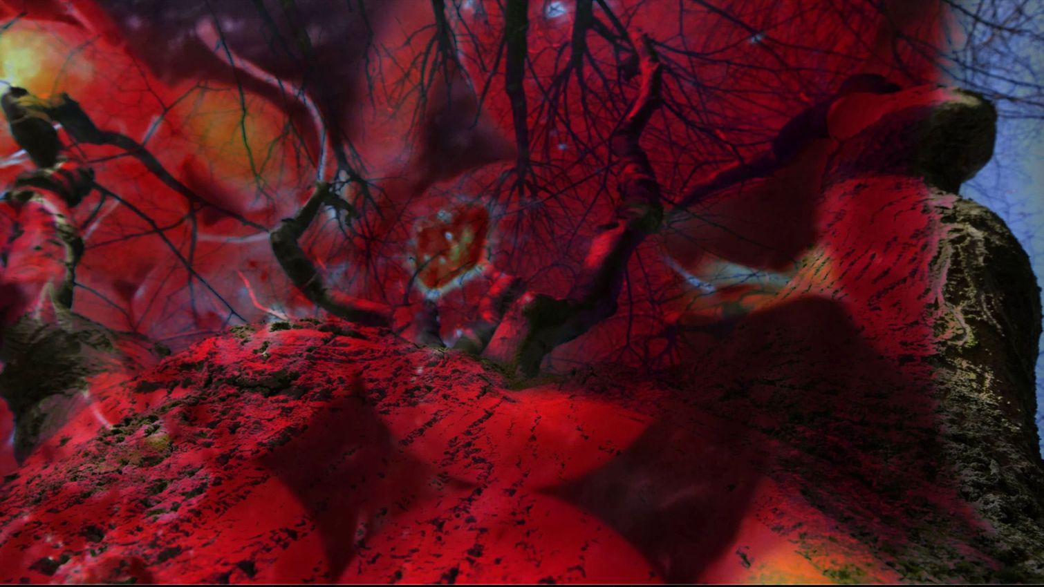 Pipilotti Rist