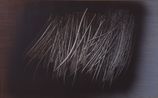 T1962-H24 by Hans Hartung contemporary artwork Painting