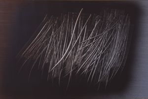 Hans Hartung