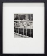 Untitled Wire by Harry Culy contemporary artwork photography