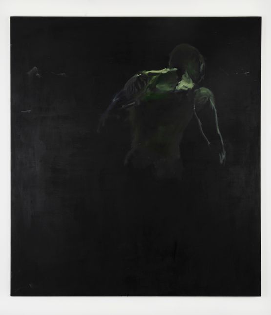 Untitled Hulk... by Martin Grandits contemporary artwork Painting