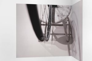 Louise Lawler