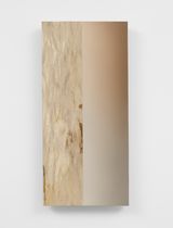 Untitled by Pieter Vermeersch contemporary artwork painting sculpture