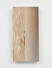 Untitled by Pieter Vermeersch contemporary artwork Painting