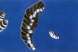 Louise Bourgeois