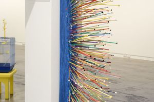 Judy Darragh
