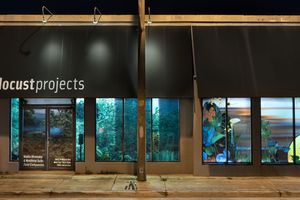 Locust Projects contemporary art institution in Miami United States