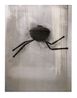 No title running barbeque by Robert Therrien contemporary artwork Photography