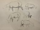 Five Sheep by Pierre Adolphe Valette contemporary artwork Works on Paper