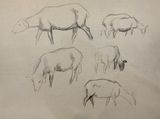 Five Sheep by Pierre Adolphe Valette contemporary artwork drawing works on paper