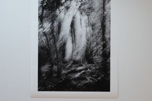 Anne Noble