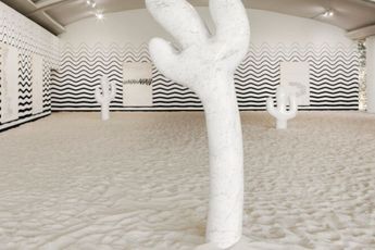 Claudia Comte contemporary artist