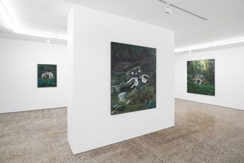 Contemporary art exhibition Abdul Abdullah Magical Thinking at Ames Yavuz Sydney Australia