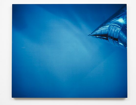 Something about Time and Space But Im Not Sure What It Is One Maybe Marine by Louise Lawler contemporary artwork Print