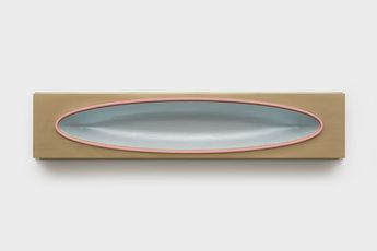 Contemporary art exhibition Lisa Williamson Hover Land Lover at Tanya Bonakdar Gallery Los Angeles United States