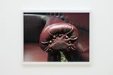 Armrest Lamprey Bit of Finger by Padraig Timoney contemporary artwork print