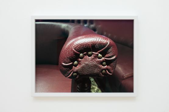 Armrest Lamprey Bit of Finger by Padraig Timoney contemporary artwork Print