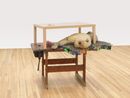 Drift by Liz Magor contemporary artwork Sculpture