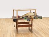Drift by Liz Magor contemporary artwork sculpture