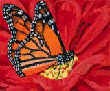 Monarch Butterfly by Claudia Keep contemporary artwork painting