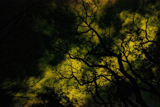 Night Sky by Yasuhiro Ogawa contemporary artwork Print
