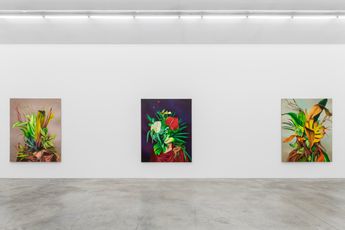 Contemporary art exhibition Ewa Juszkiewicz Bloom and Ever Springing Shade at Almine Rech Paris Rue de Turenne France