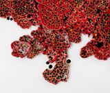 Liquen vermelho II Red Lichen II by Leo Battistelli contemporary artwork painting