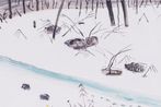 Kim Chong Hak contemporary artist