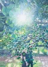 Gingko Garden by Vibeke Slyngstad contemporary artwork painting