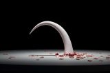 The fall White by Tao Hui contemporary artwork sculpture