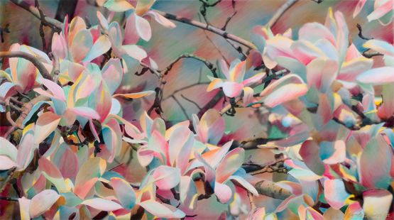 Impressionist Magnolia by Shi Guowei contemporary artwork Painting
